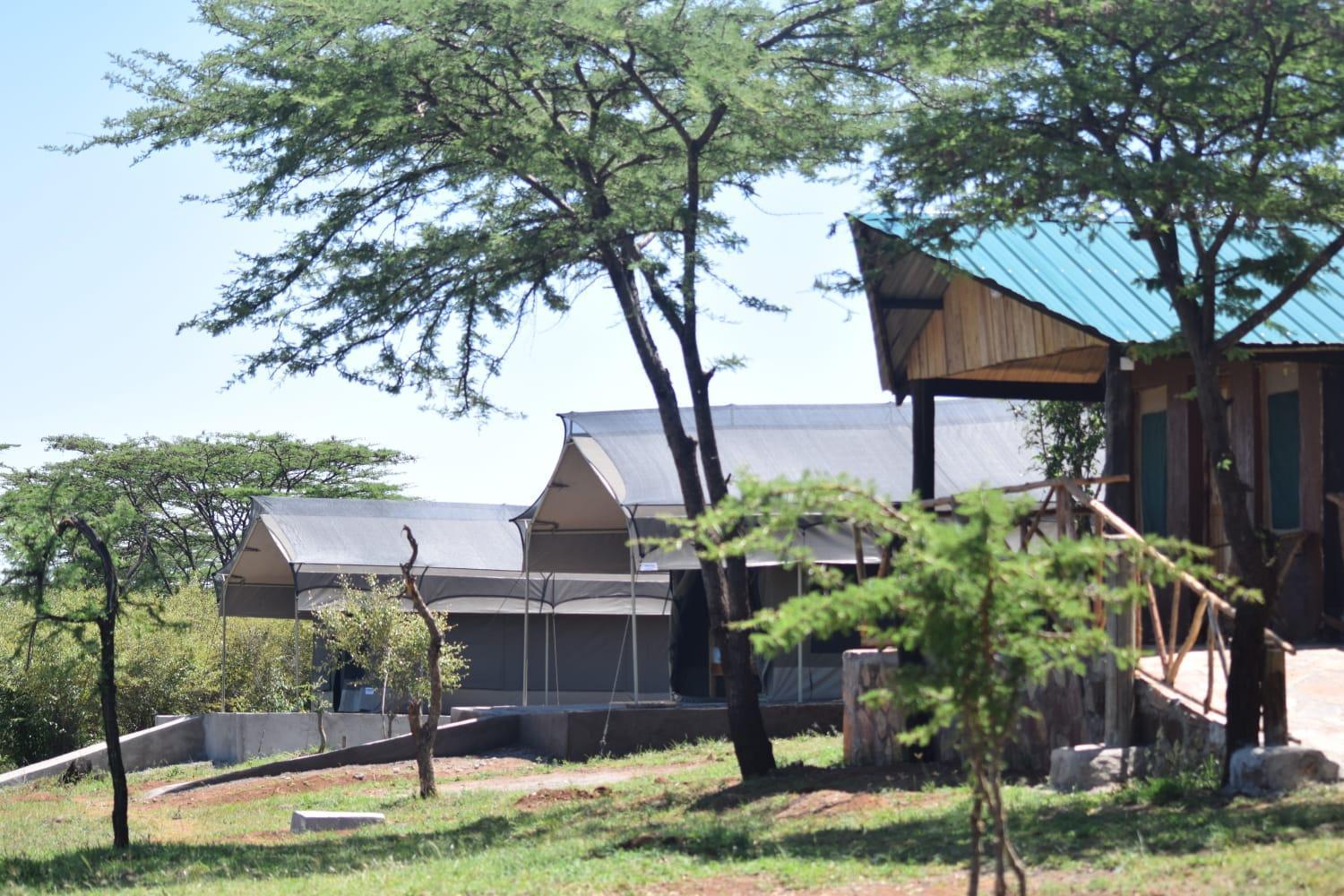 Maasai Mara Safari Camp In Kenya Bed and Breakfast Sekenani Εξωτερικό φωτογραφία