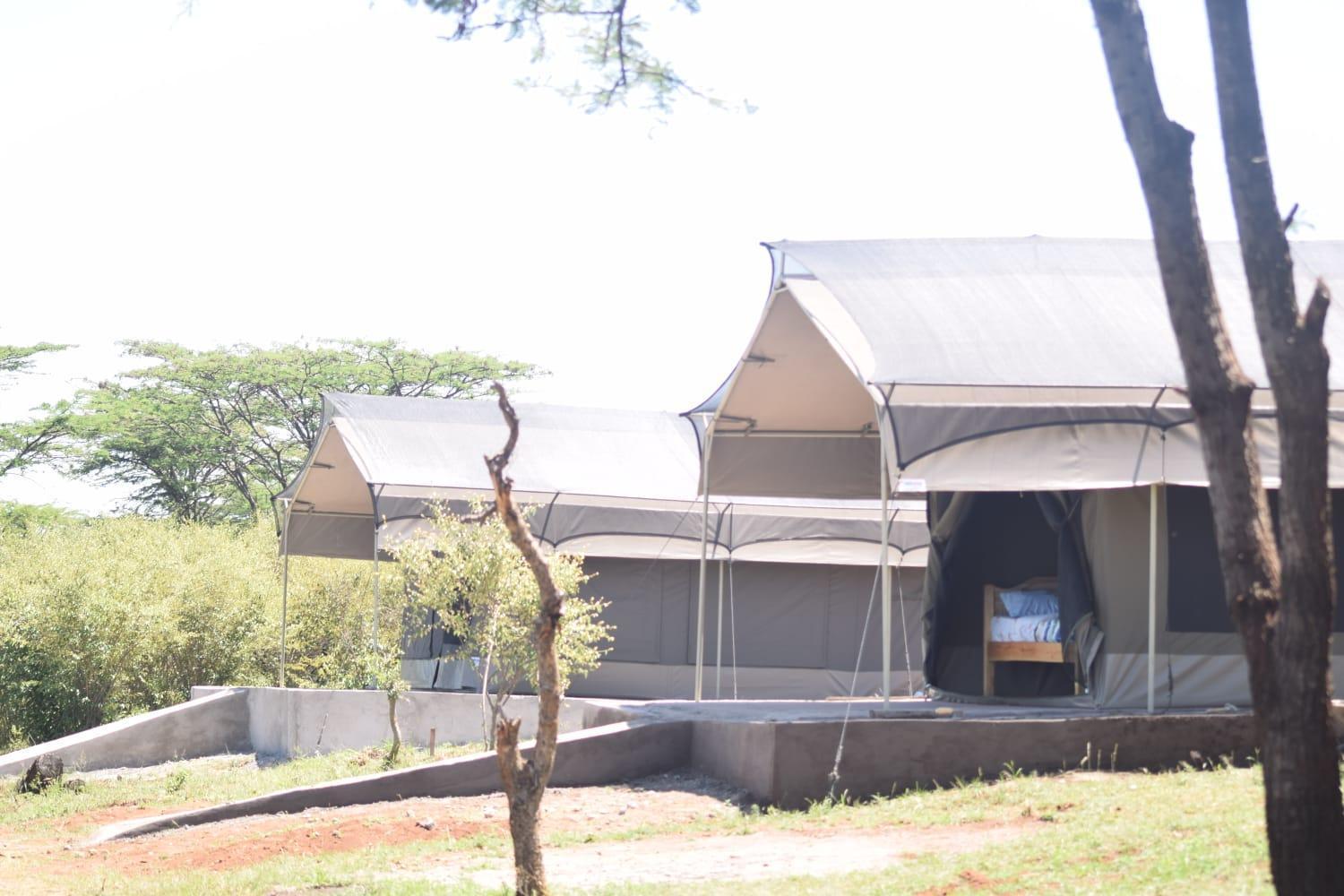 Maasai Mara Safari Camp In Kenya Bed and Breakfast Sekenani Εξωτερικό φωτογραφία