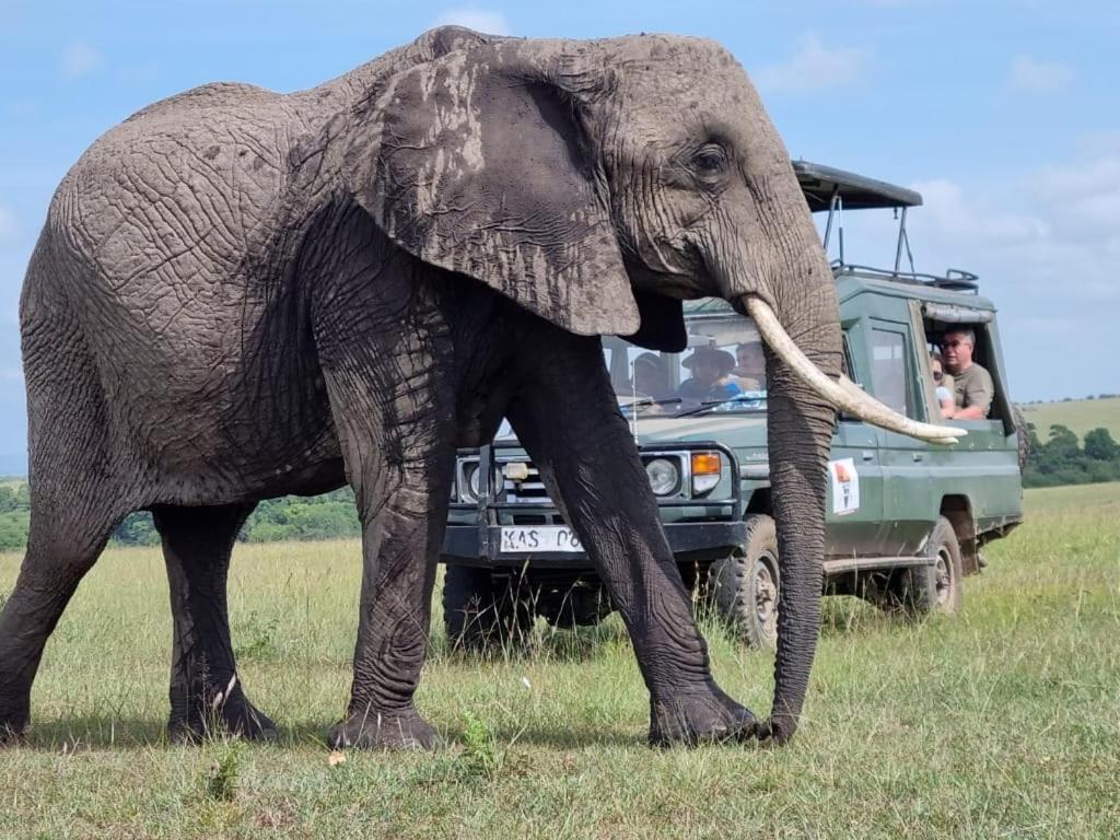 Maasai Mara Safari Camp In Kenya Bed and Breakfast Sekenani Εξωτερικό φωτογραφία